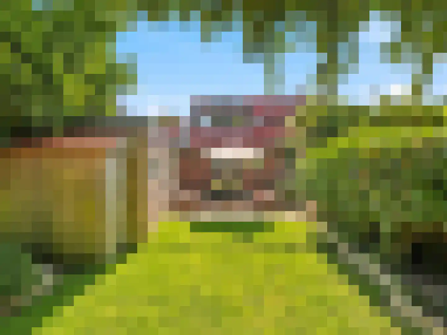 Kerkstraat 78 Renkum thumbnail 34