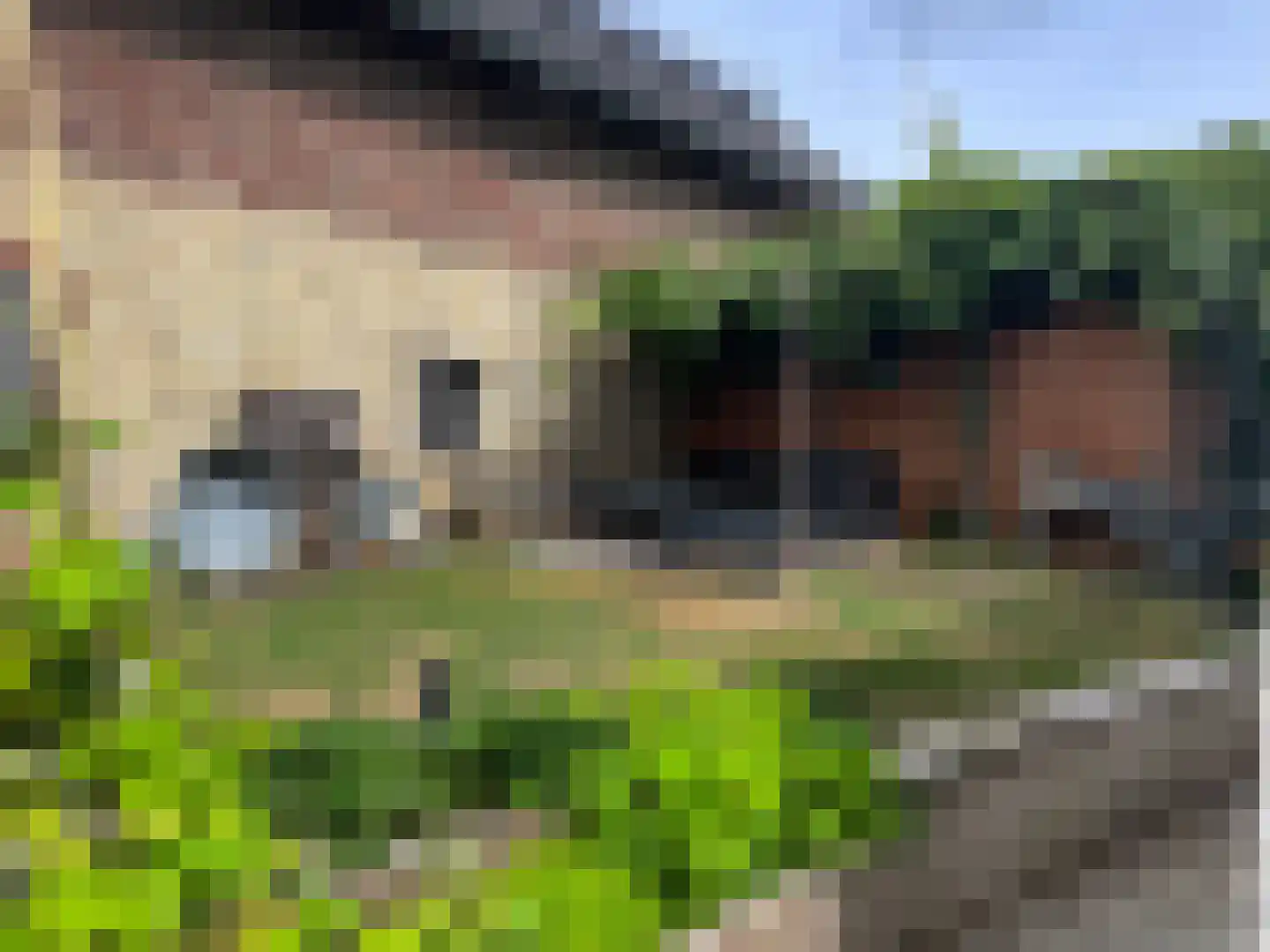 Kerkstraat 79 Voerendaal thumbnail 34