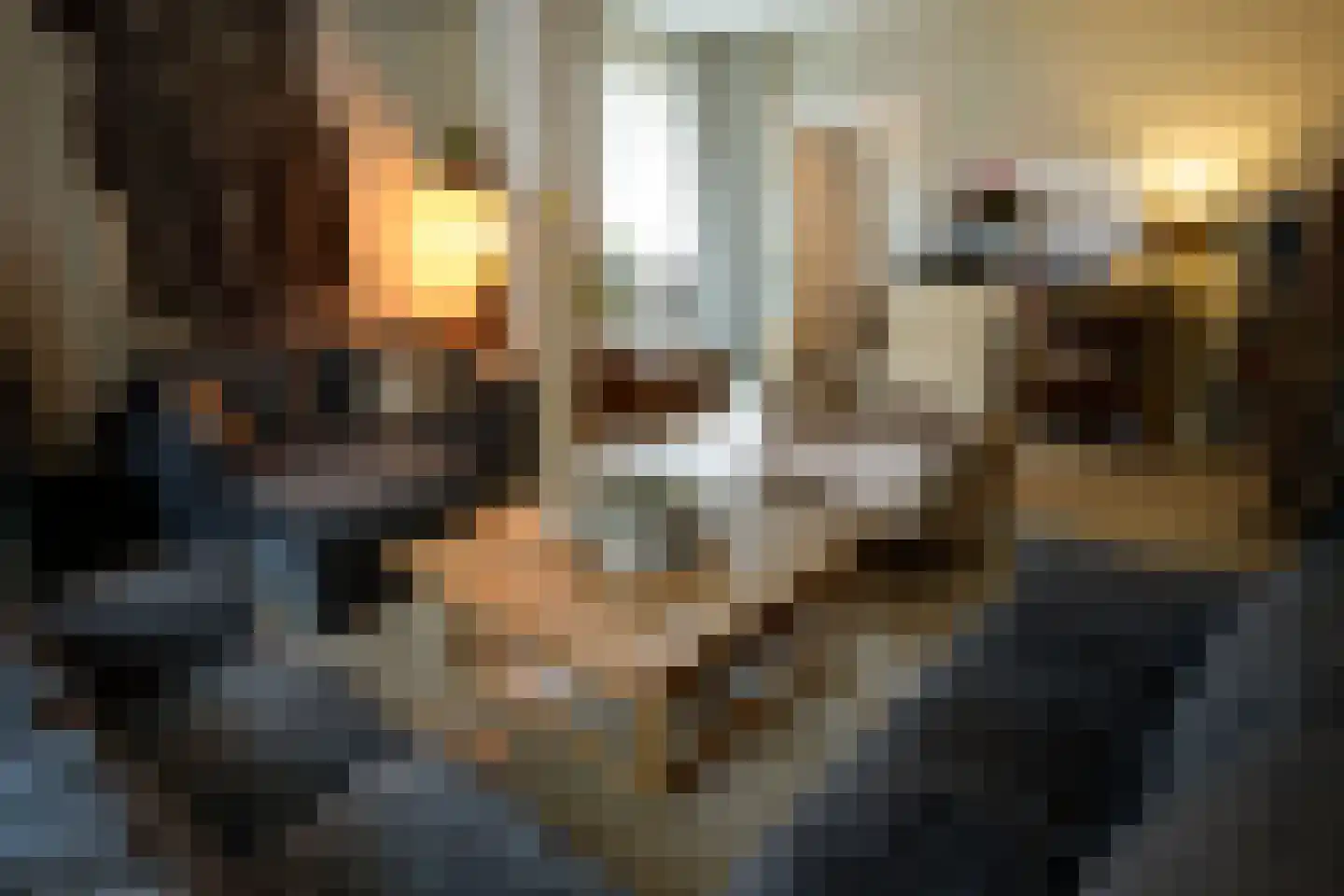 Kerkstraat 79 Voerendaal thumbnail 6