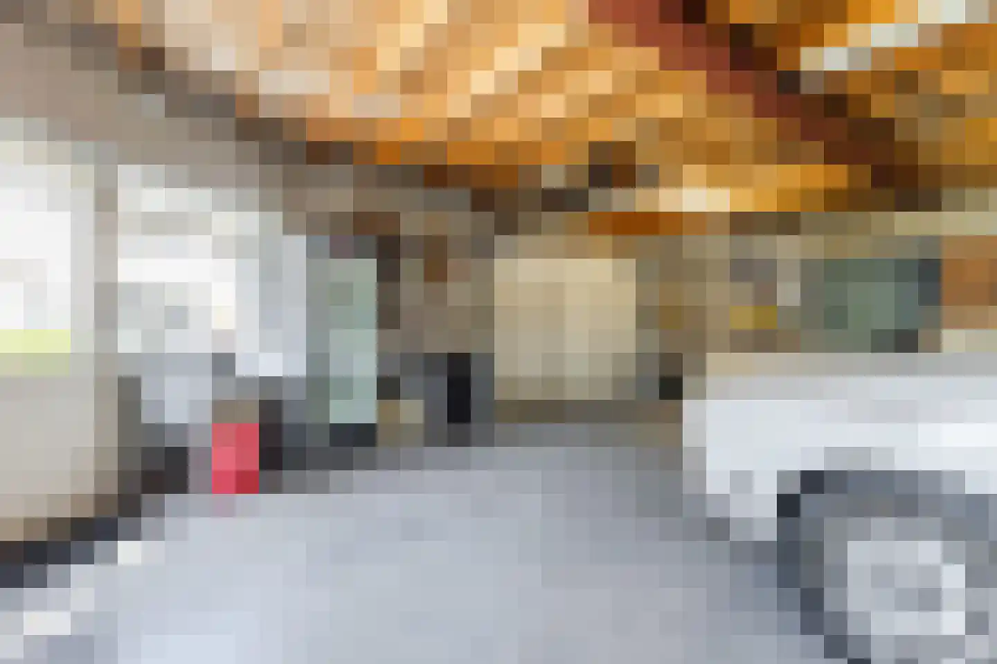 Kerkstraat 8 a Haps thumbnail 26