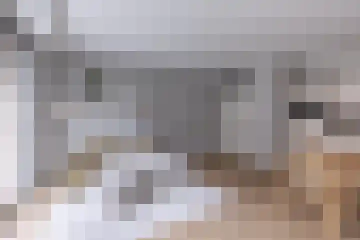 Kerkstraat 8 Alkmaar thumbnail 8