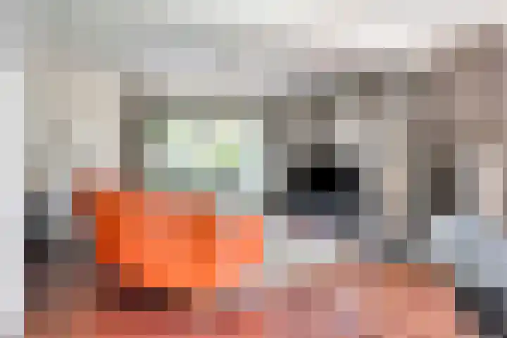 Kerkstraat 8 Beegden thumbnail 18