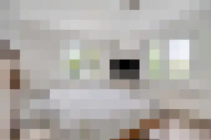 Kerkstraat 8 Beegden thumbnail 23