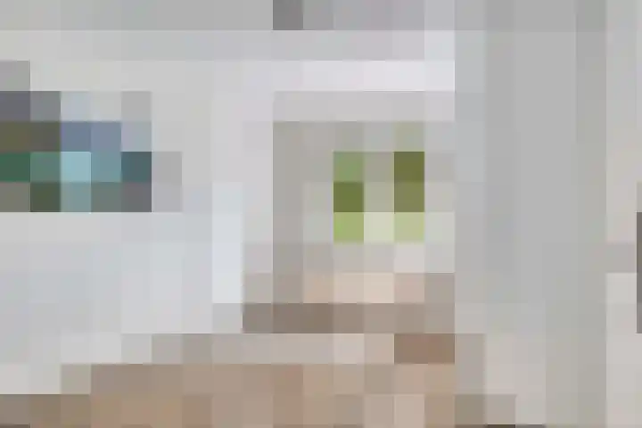 Kerkstraat 8 Beegden thumbnail 25