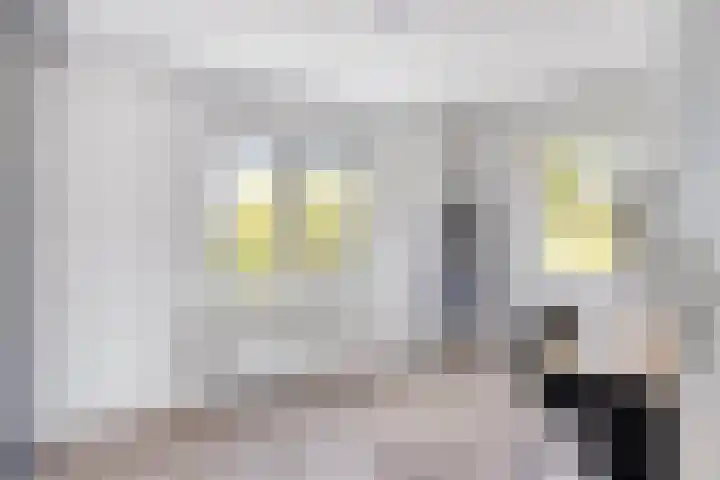 Kerkstraat 8 Beegden thumbnail 27