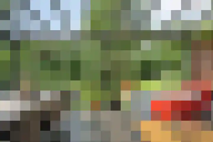 Kerkstraat 8 Beegden thumbnail 35