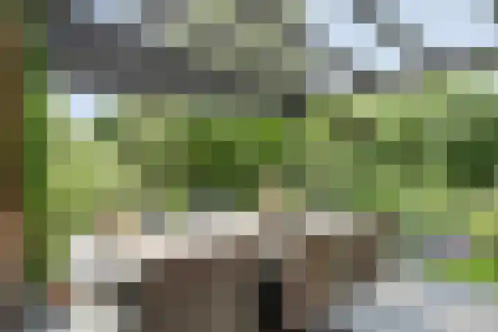 Kerkstraat 8 Beegden thumbnail 41