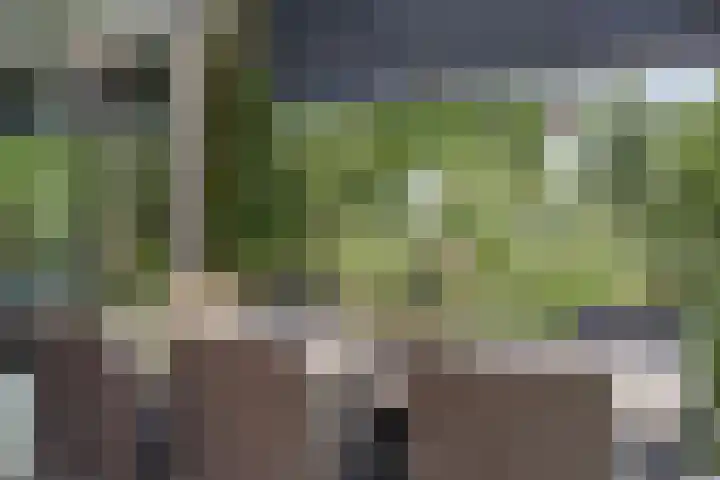 Kerkstraat 8 Beegden thumbnail 42
