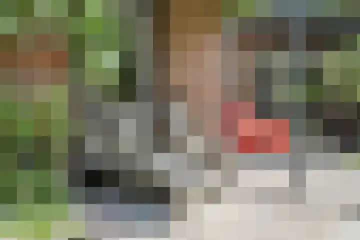 Kerkstraat 8 Beegden thumbnail 43