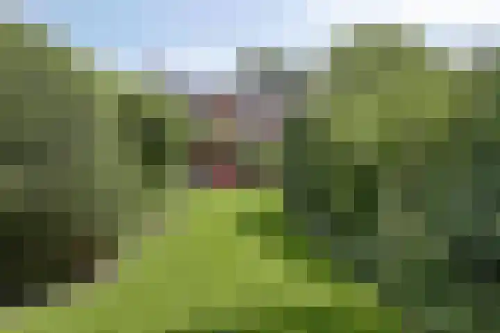 Kerkstraat 8 Beegden thumbnail 47