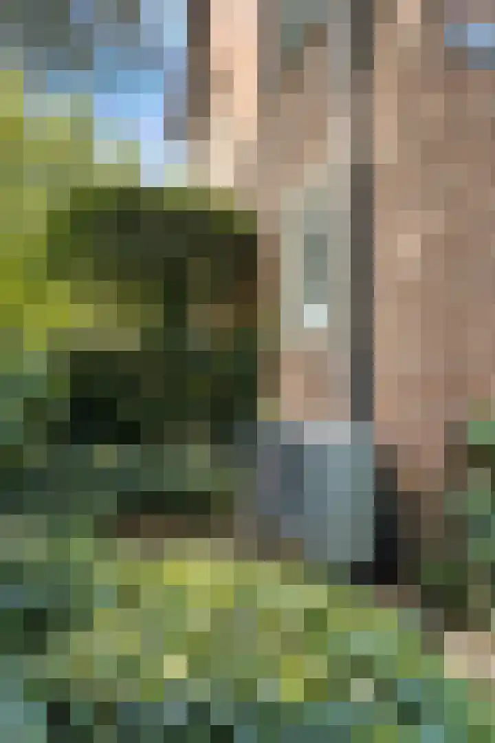Kerkstraat 8 Beegden thumbnail 51