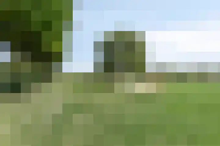 Kerkstraat 8 Beegden thumbnail 55
