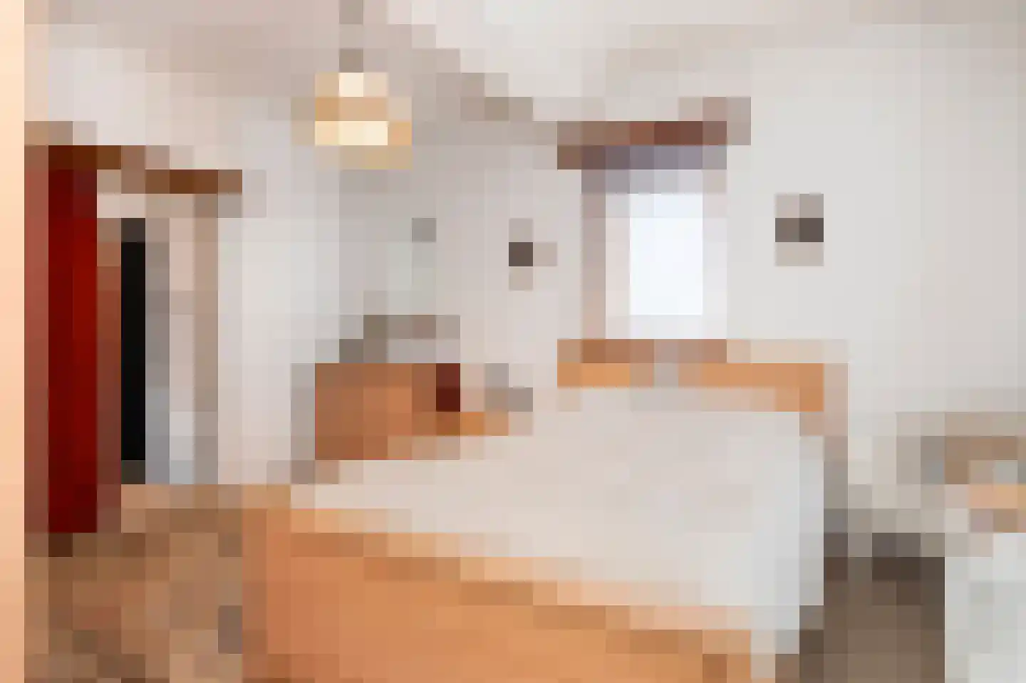 Kerkstraat 8 Born thumbnail 12