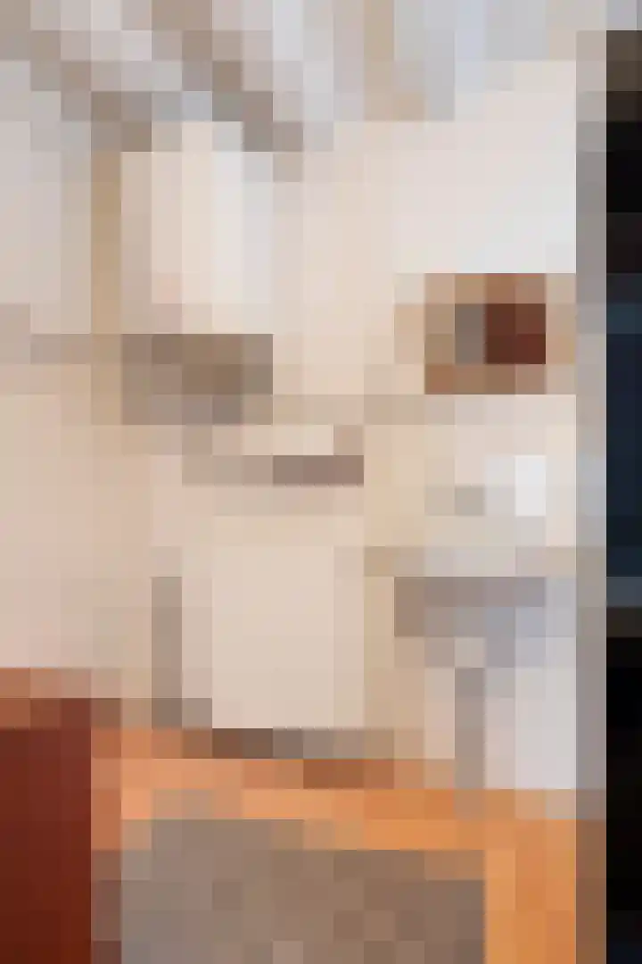 Kerkstraat 8 Born thumbnail 15
