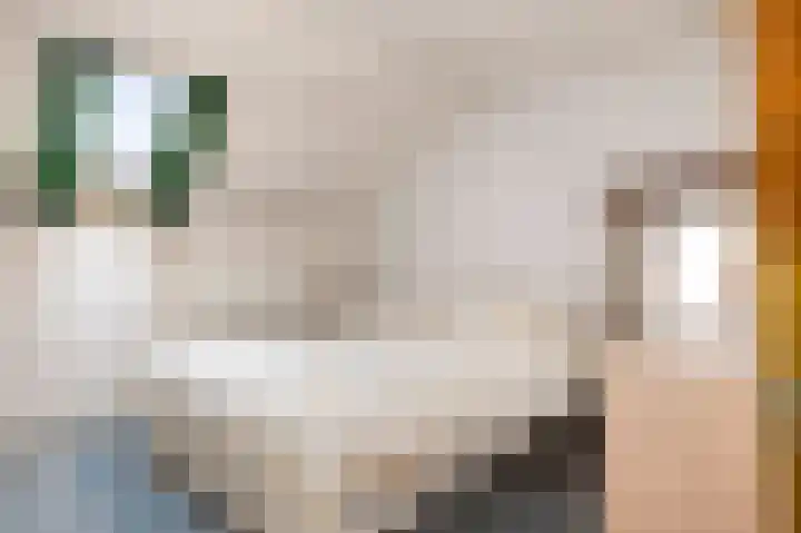 Kerkstraat 8 Born thumbnail 18