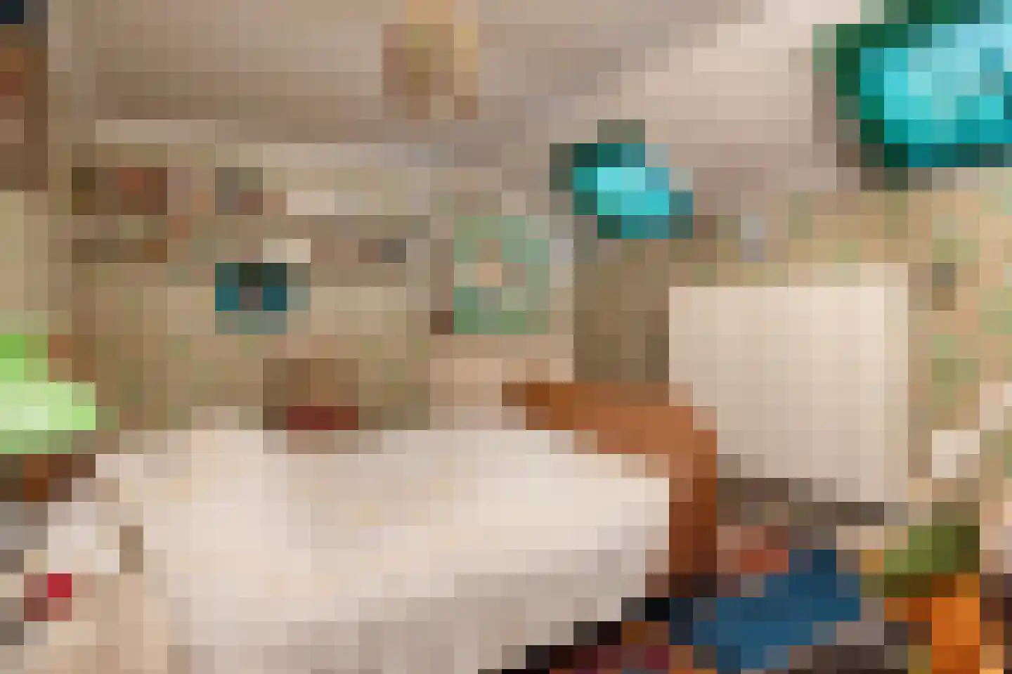 Kerkstraat 8 Born thumbnail 20