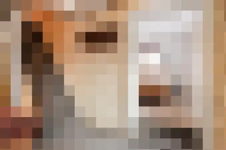 Kerkstraat 8 Born thumbnail 6