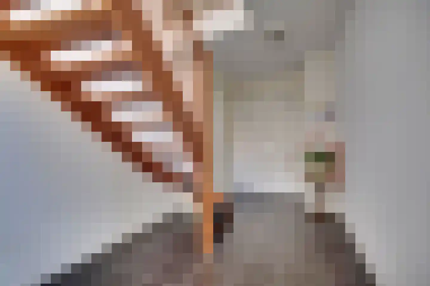 Kerkstraat 8 C Zevenaar thumbnail 7