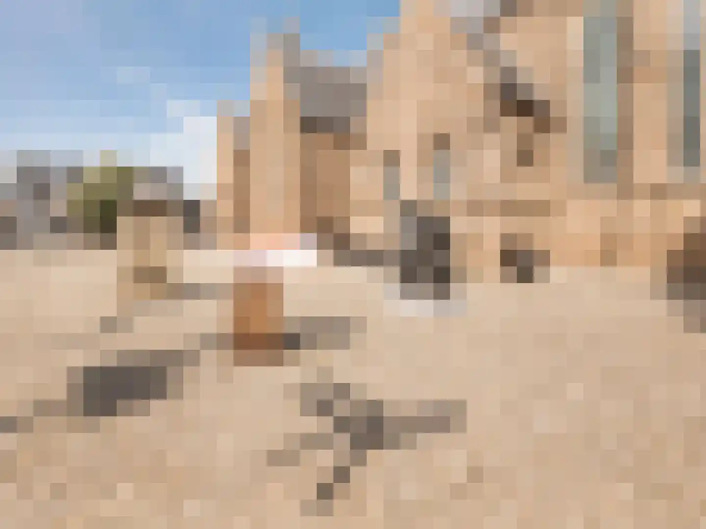 Kerkstraat 8 d Leerdam thumbnail 17