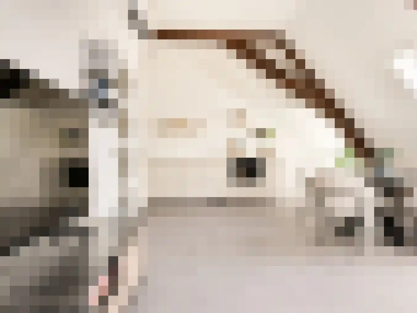 Kerkstraat 8 d Leerdam thumbnail 6