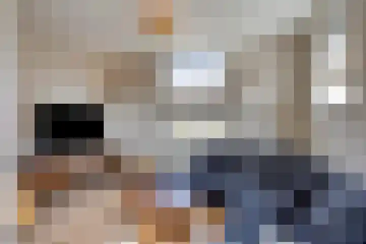 Kerkstraat 8 Heesch thumbnail 12