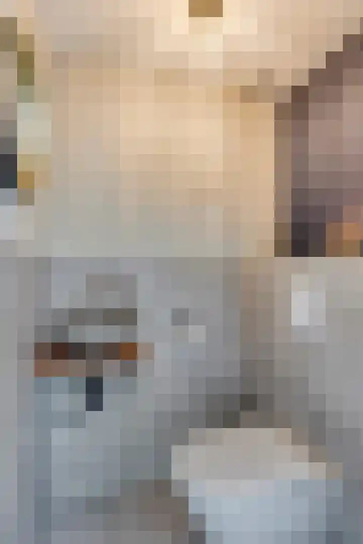 Kerkstraat 8 Heesch thumbnail 18