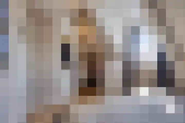 Kerkstraat 8 Heesch thumbnail 26