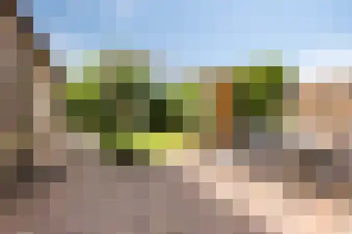 Kerkstraat 8 Heesch thumbnail 34