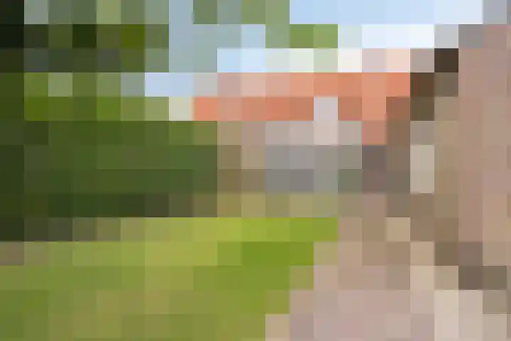 Kerkstraat 8 Heesch thumbnail 37
