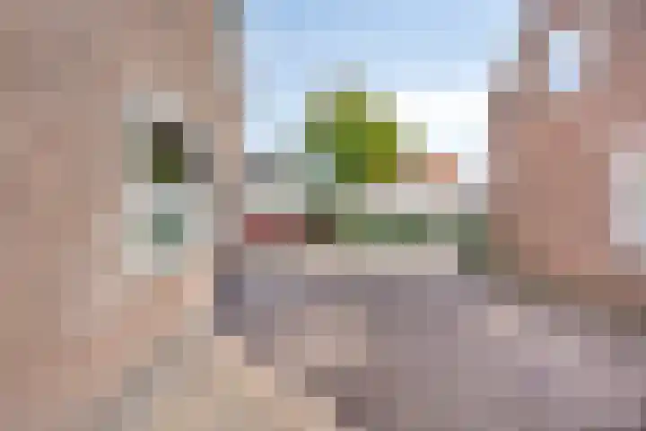 Kerkstraat 8 Heesch thumbnail 41