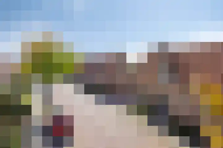 Kerkstraat 8 Heesch thumbnail 47
