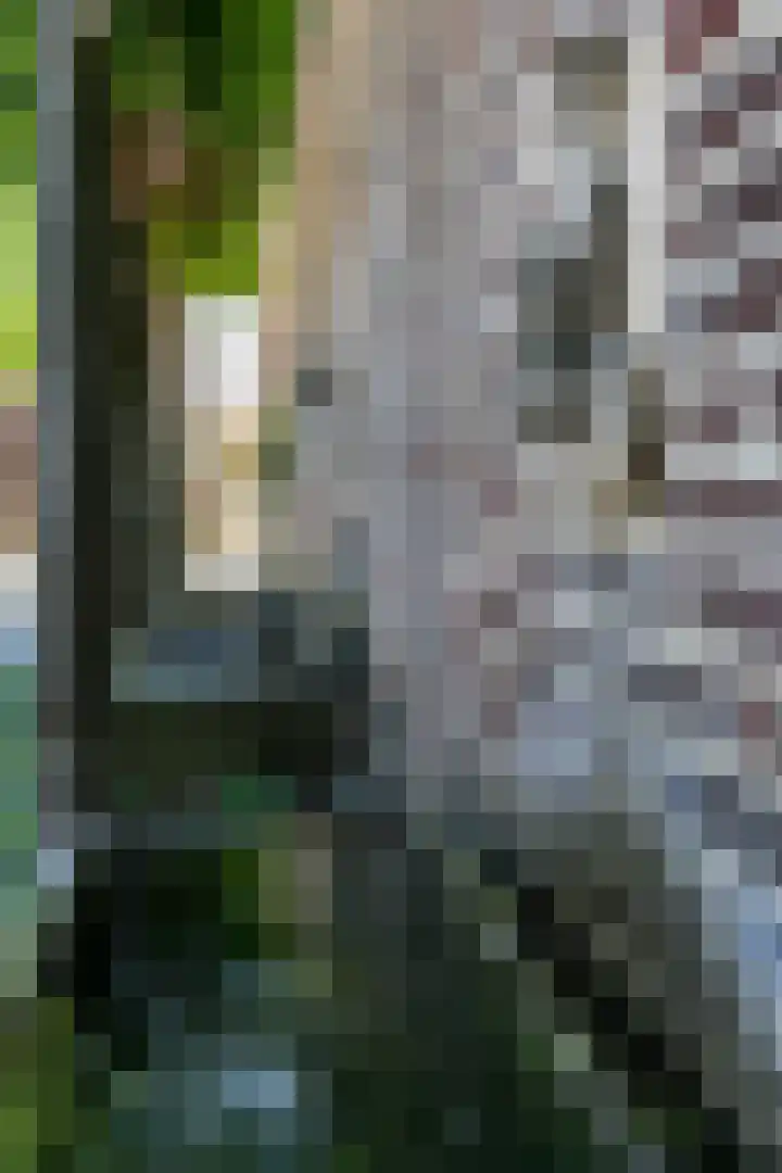 Kerkstraat 8 Vaals thumbnail 36