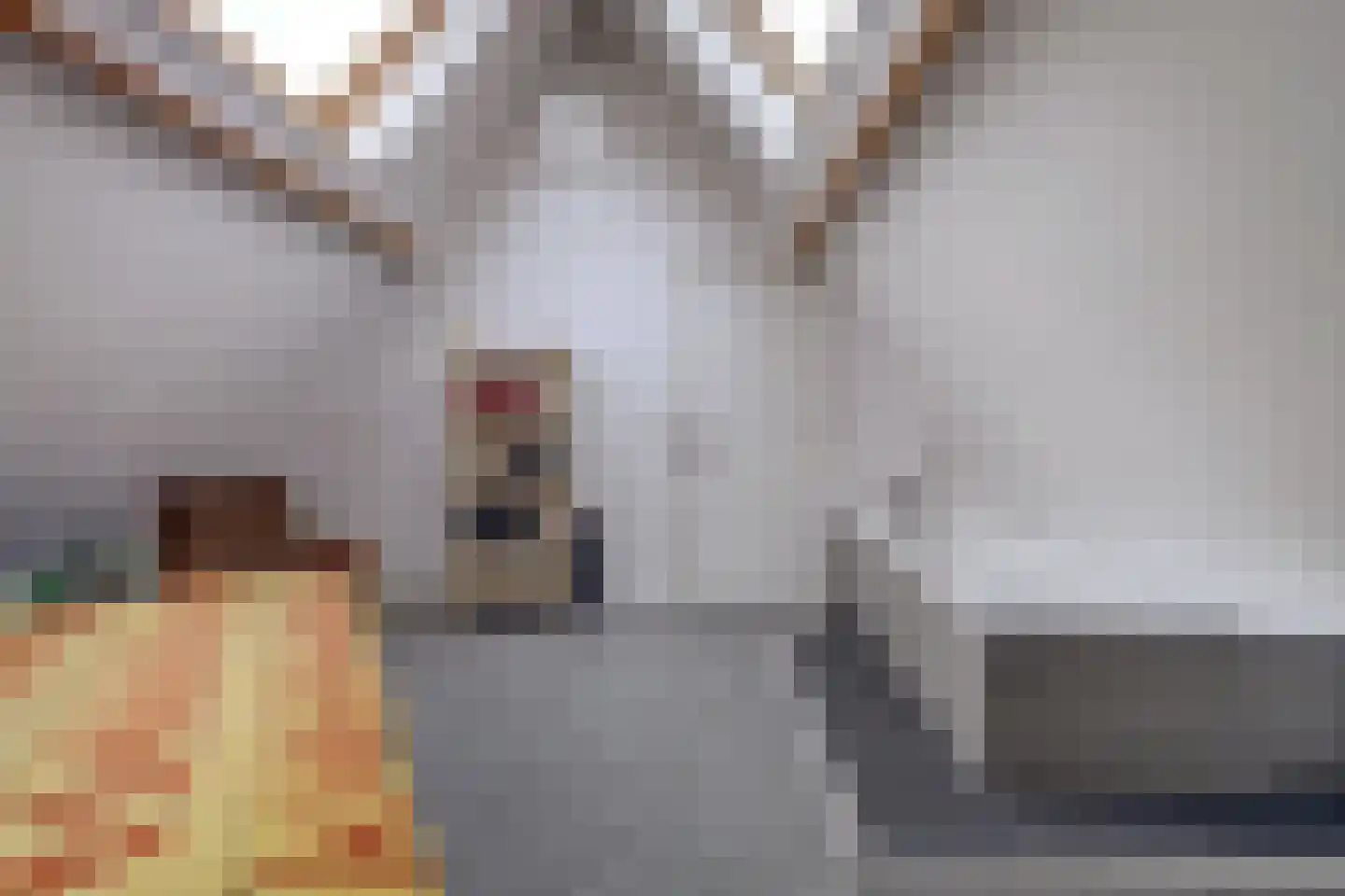 Kerkstraat 8 Vlissingen thumbnail 33
