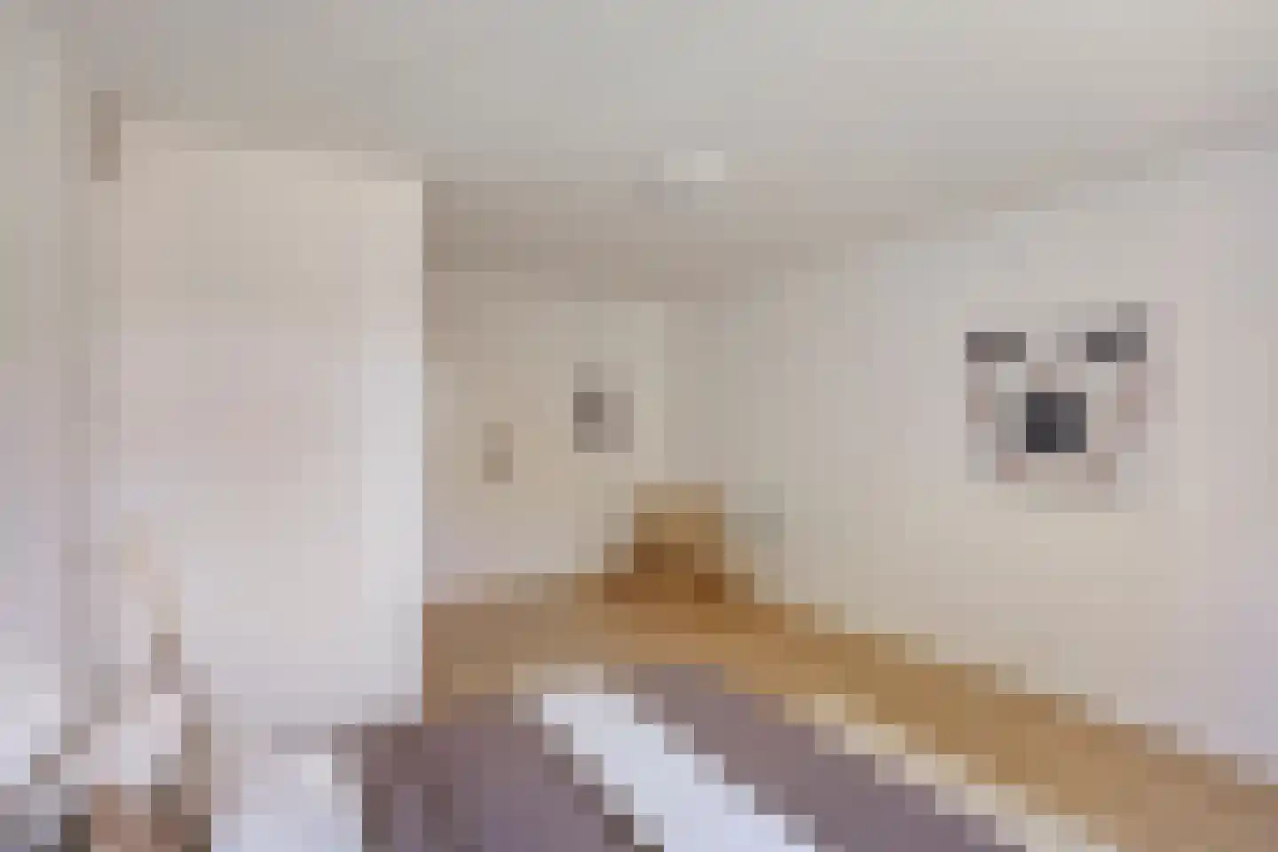Kerkstraat 8 Wognum thumbnail 23