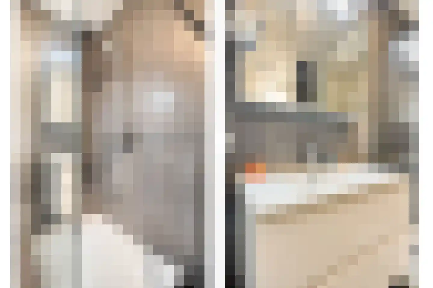 Kerkstraat 80 Oss thumbnail 12