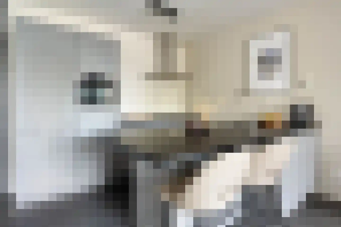 Kerkstraat 80 Oss thumbnail 7