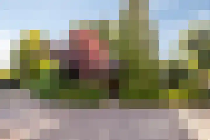 Kerkstraat 82 Zeeland thumbnail 5