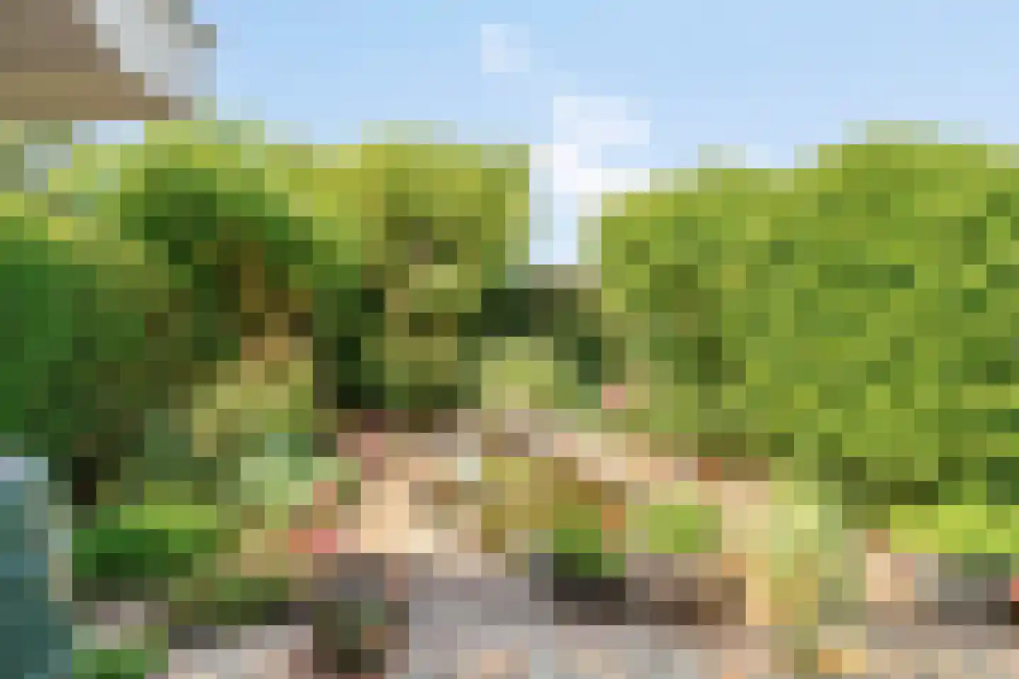 Kerkstraat 83 Hoogmade thumbnail 8