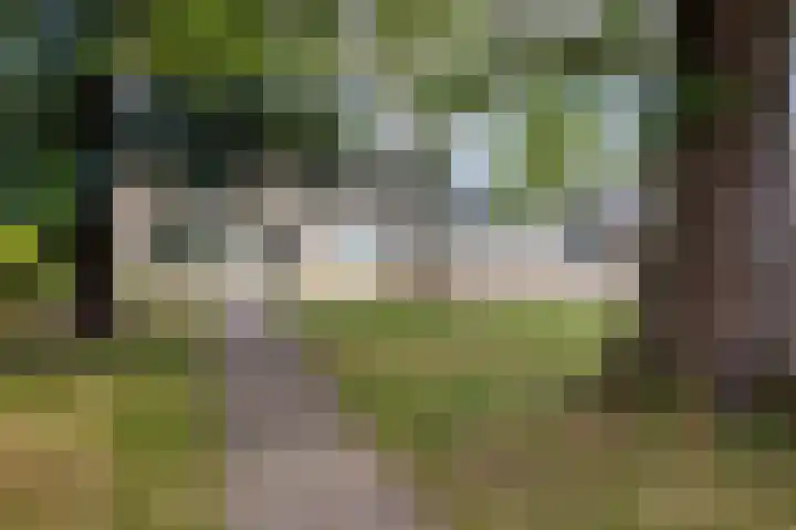 Kerkstraat 83 Zeeland thumbnail 64