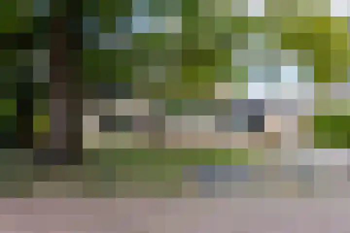 Kerkstraat 83 Zeeland thumbnail 8