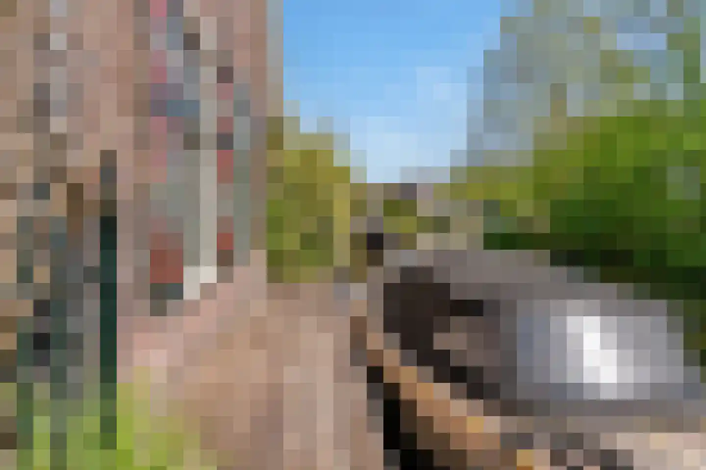 Kerkstraat 84 Abcoude thumbnail 11