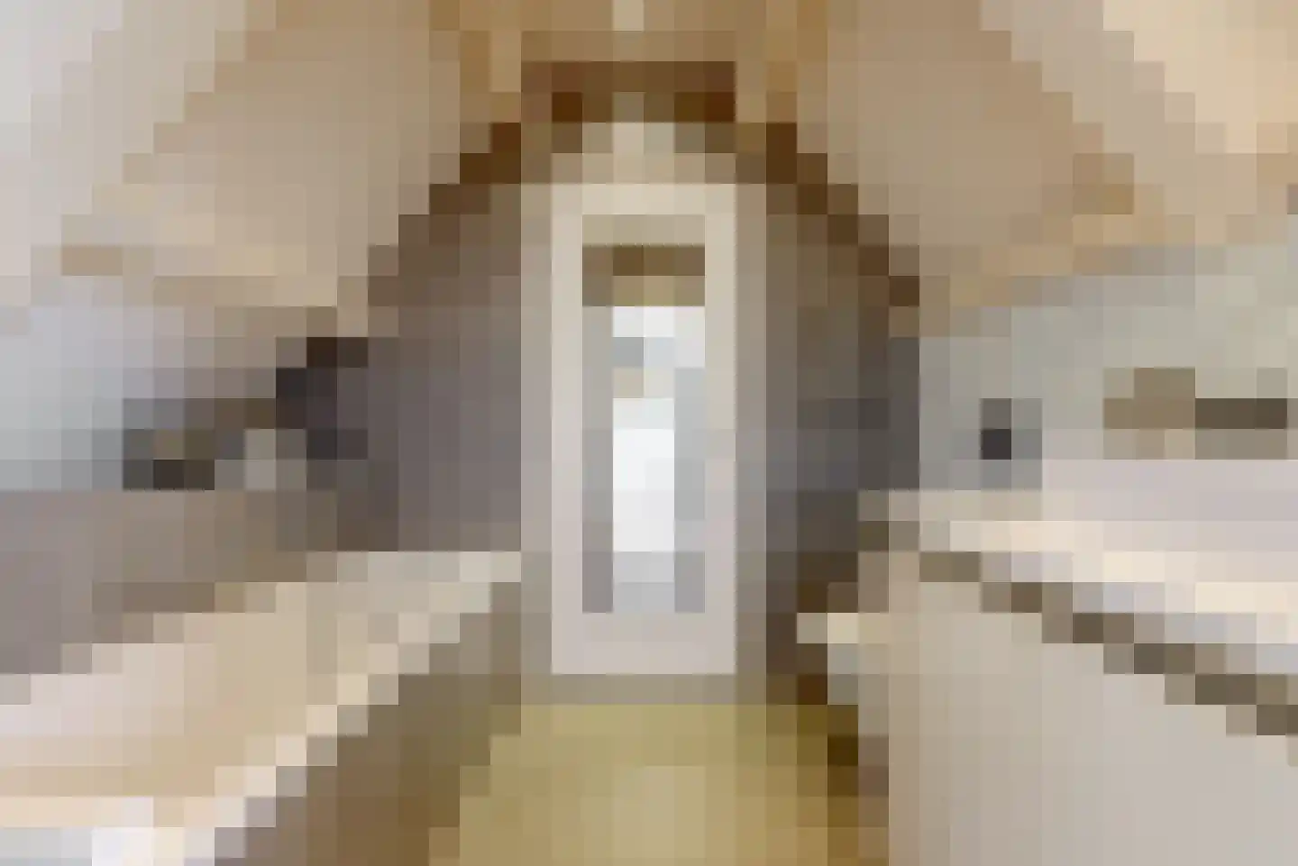 Kerkstraat 84 Abcoude thumbnail 26