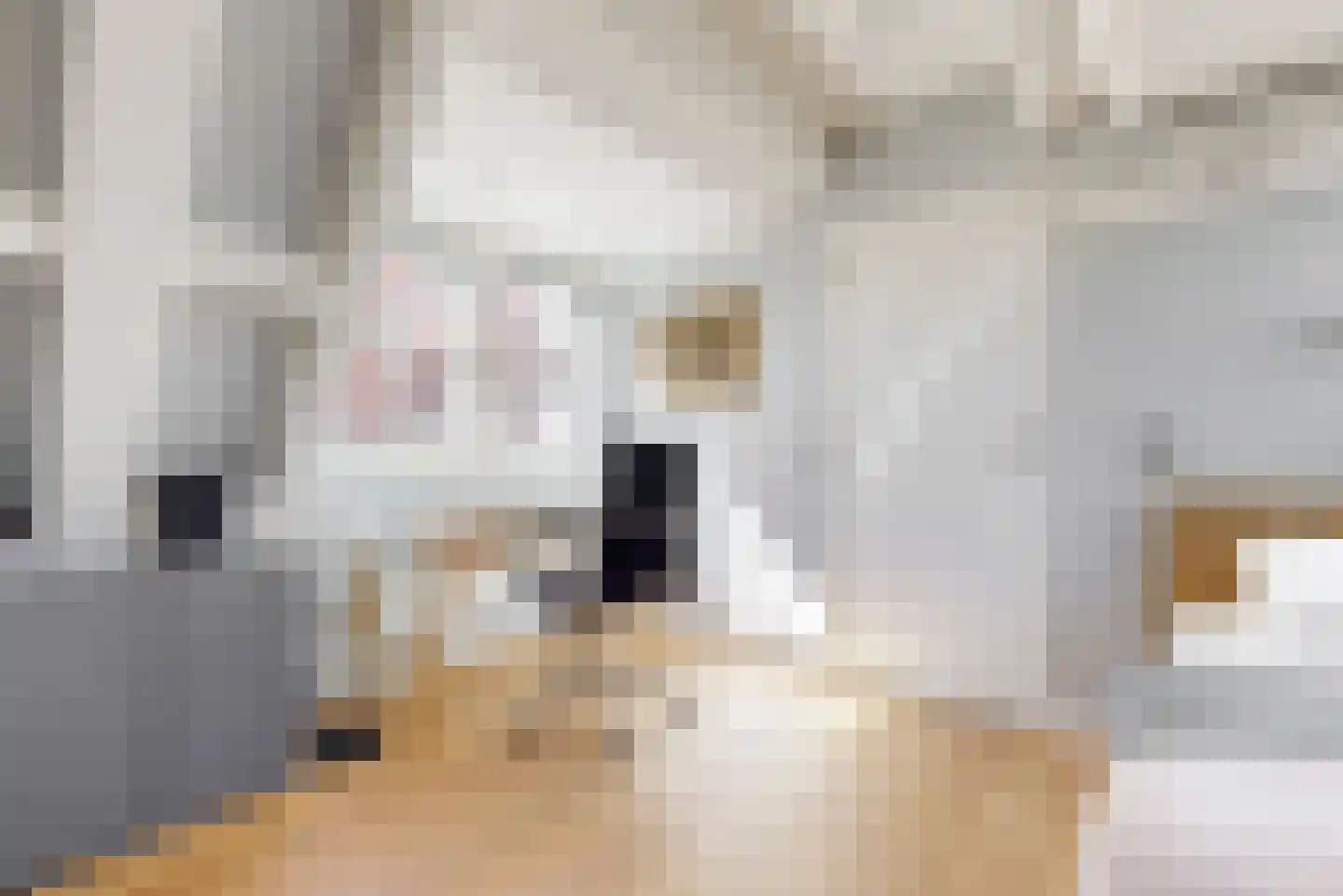 Kerkstraat 84 Abcoude thumbnail 28