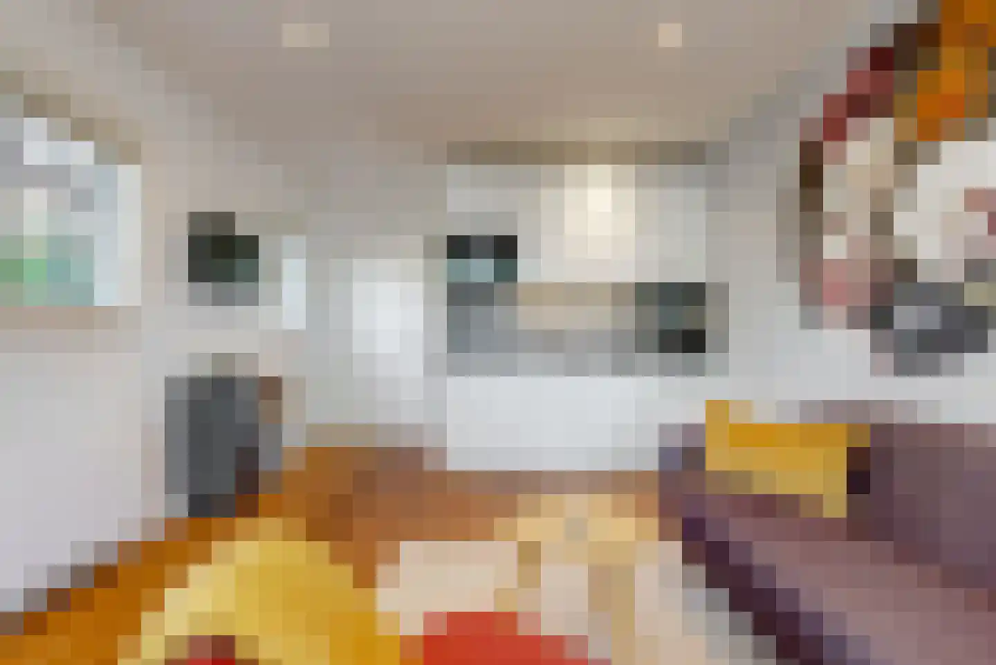 Kerkstraat 84 Abcoude thumbnail 52