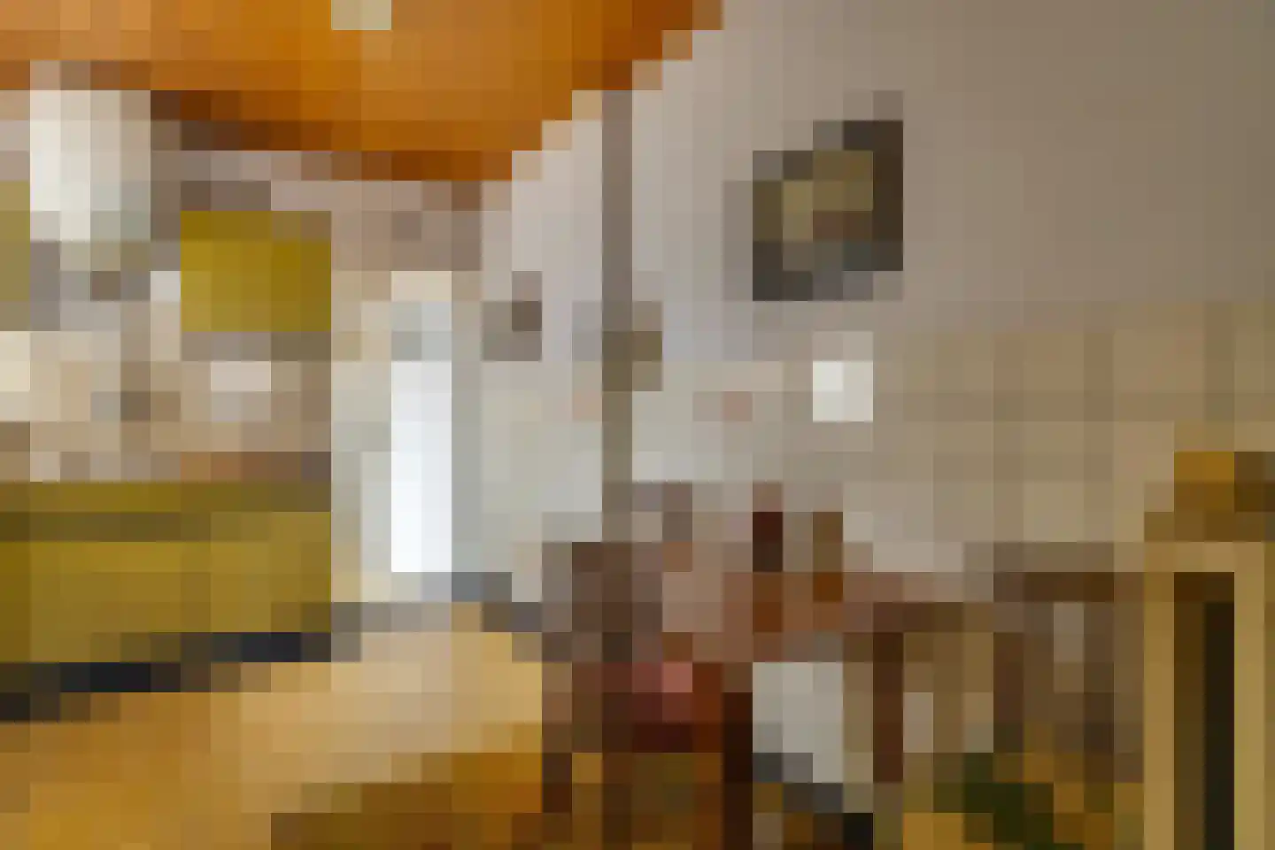Kerkstraat 86 a Sprang-Capelle thumbnail 11