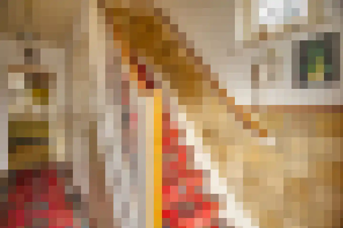 Kerkstraat 86 a Sprang-Capelle thumbnail 15