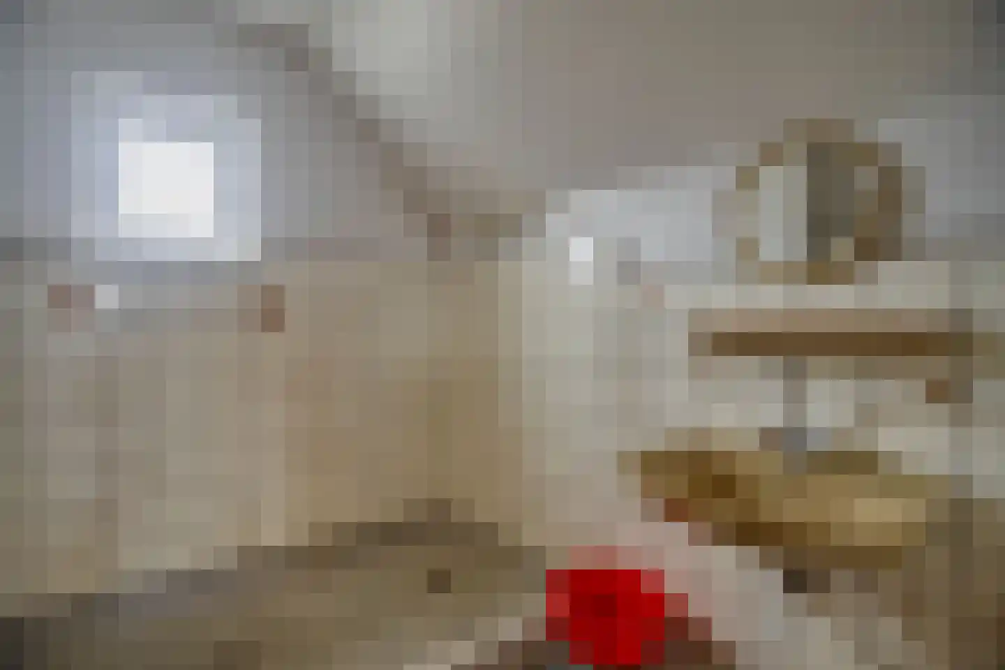 Kerkstraat 86 a Sprang-Capelle thumbnail 21