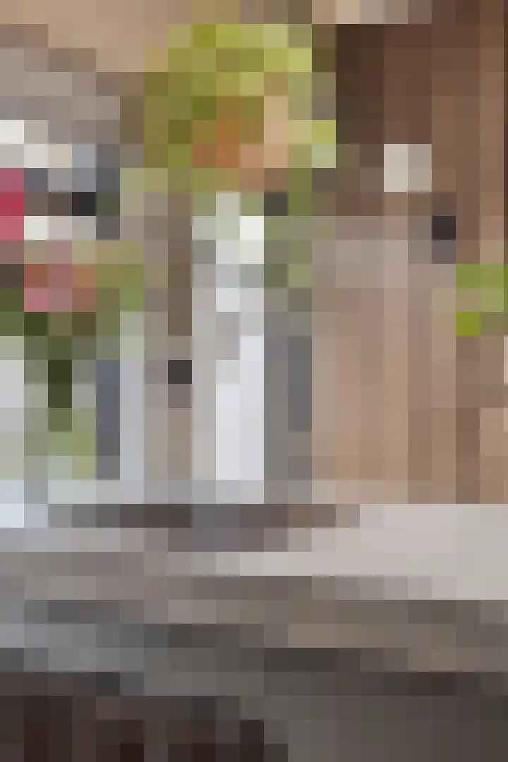 Kerkstraat 86 Goirle thumbnail 13