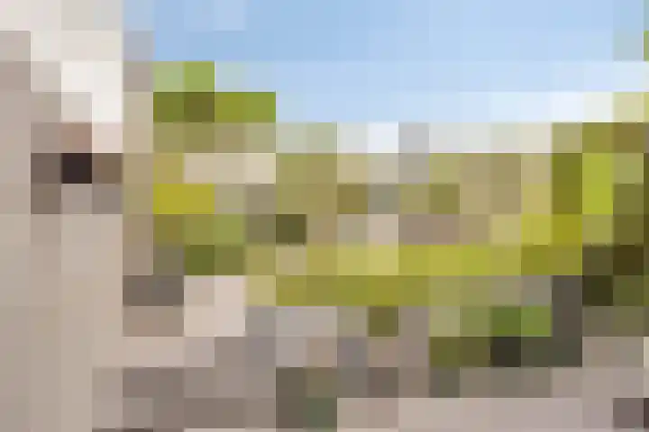Kerkstraat 86 Goirle thumbnail 30