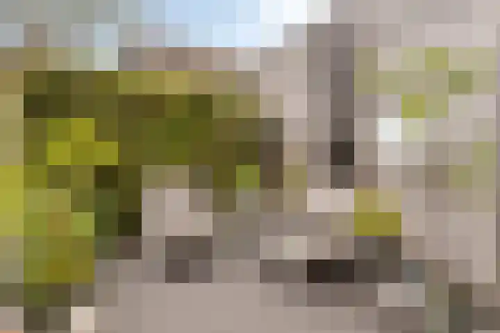 Kerkstraat 86 Goirle thumbnail 31